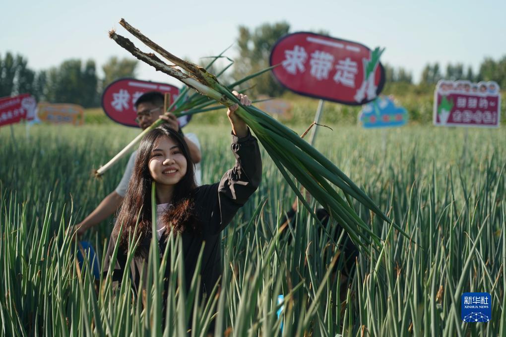66钱庄放款吗